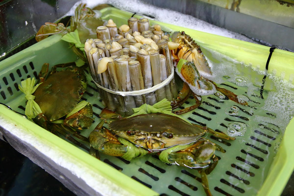 【食。內湖】蒸霸王 蒸氣海鮮塔～內湖/活海鮮料理新開幕！有青才敢大聲！用「蒸」的才吃得到海鮮原味！