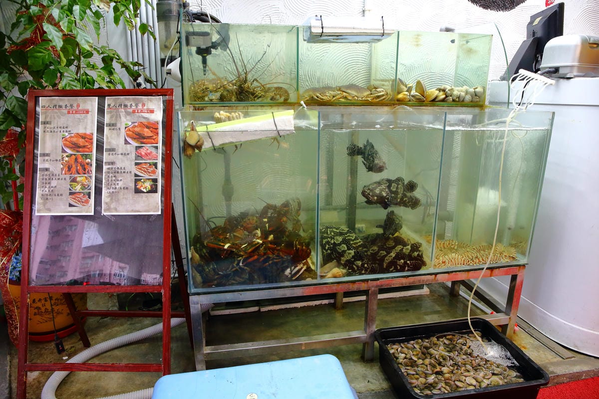 【食。內湖】蒸霸王 蒸氣海鮮塔～內湖/活海鮮料理新開幕！有青才敢大聲！用「蒸」的才吃得到海鮮原味！