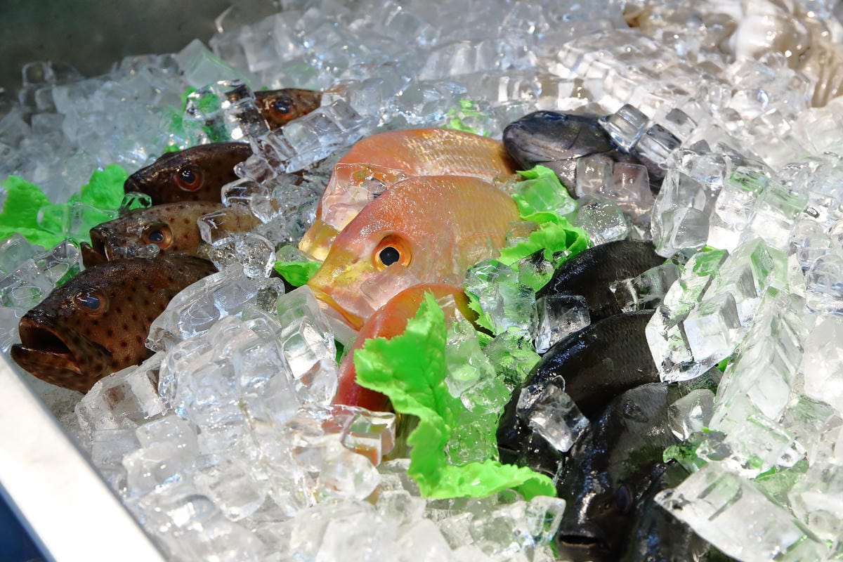 【食。內湖】蒸霸王 蒸氣海鮮塔～內湖/活海鮮料理新開幕！有青才敢大聲！用「蒸」的才吃得到海鮮原味！