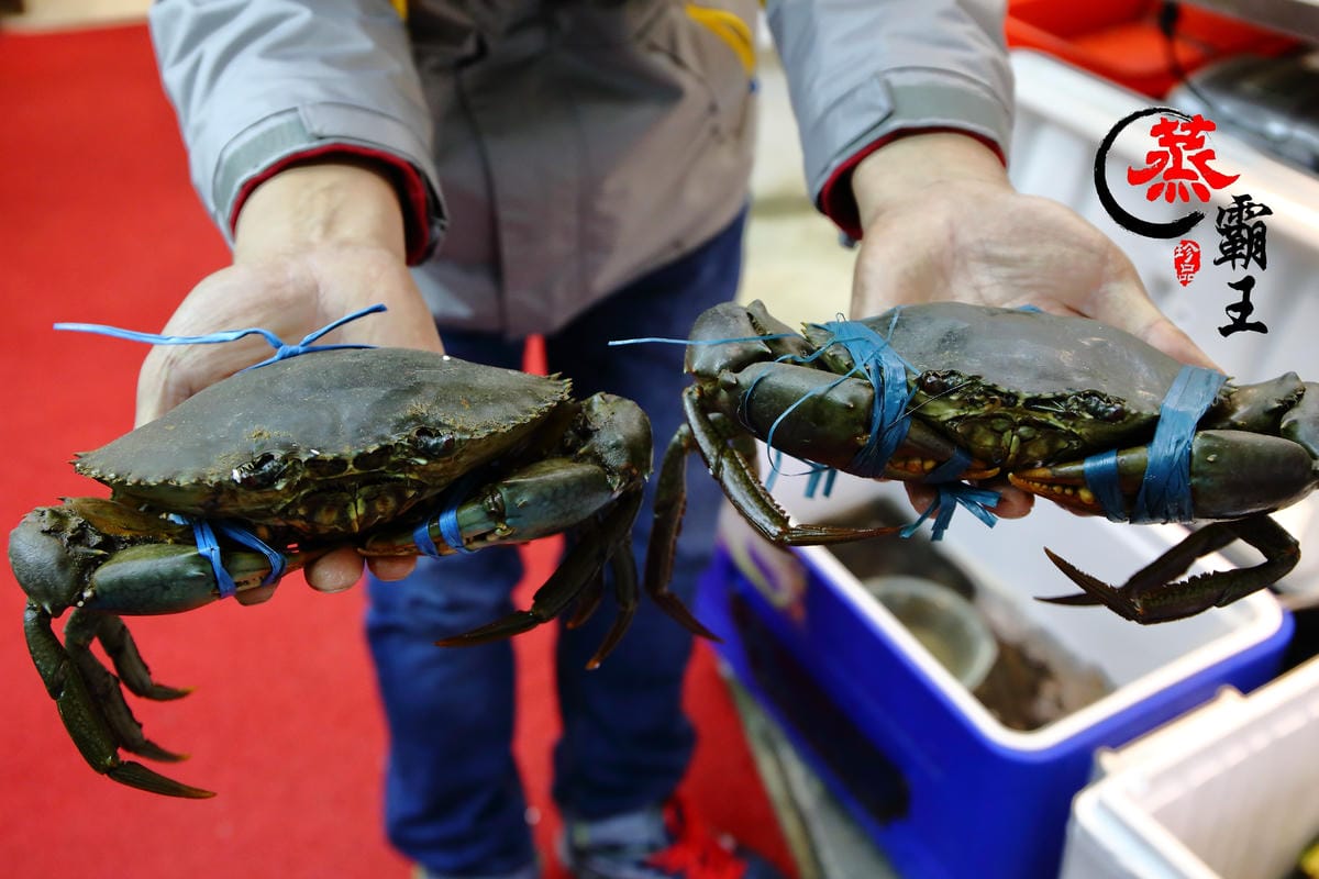 【食。內湖】蒸霸王 蒸氣海鮮塔～內湖/活海鮮料理新開幕！有青才敢大聲！用「蒸」的才吃得到海鮮原味！