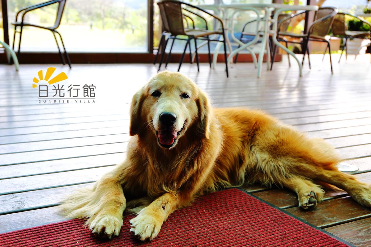 【食宿。淡水】日光行館～淡水景觀餐廳/下午茶、排餐/親子餐廳。讓人置身世外桃源的山林美景！(已歇業)