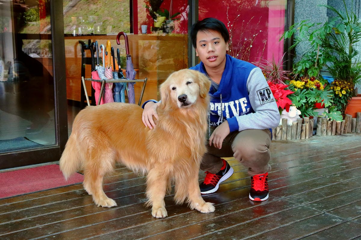 【食宿。淡水】日光行館～淡水景觀餐廳/下午茶、排餐/親子餐廳。讓人置身世外桃源的山林美景！(已歇業)