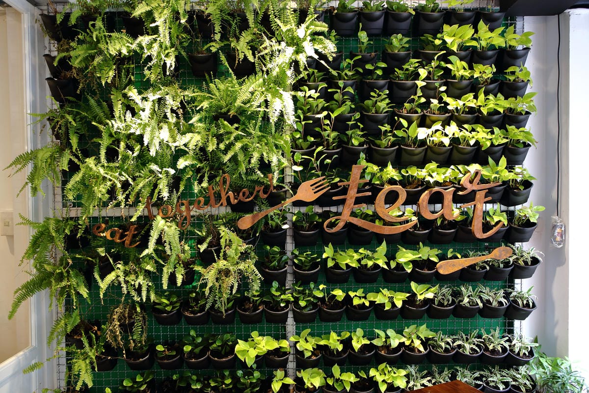 【食。永和】一起吃早午餐。甜點。炊飯～新開幕！小清新自然風格早午餐，IG打卡拍照熱點，會呼吸的牆！