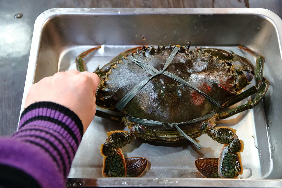 【食。中和】燒惑100生猛活海鮮～中和熱炒。聚餐首選人氣百元熱炒、海鮮、創意菜、團體聚餐，平民價位五星級料理，就是狂！(已歇業)