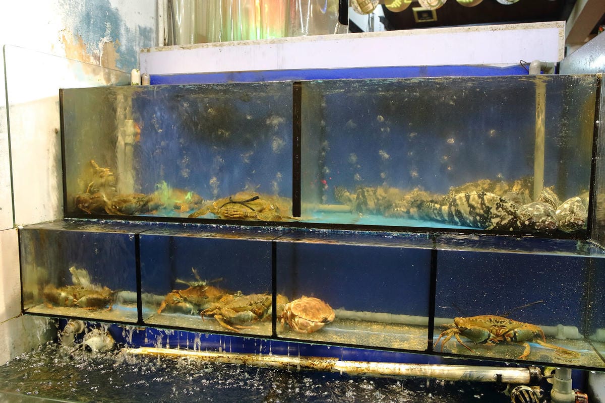 【食。中和】燒惑100生猛活海鮮～中和熱炒。聚餐首選人氣百元熱炒、海鮮、創意菜、團體聚餐，平民價位五星級料理，就是狂！(已歇業)