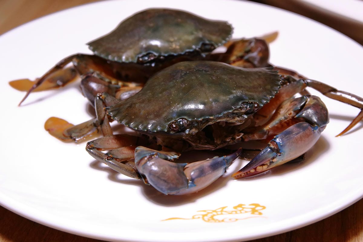 【食。台北】蒸龍宴-蒸汽養身海鮮館～松山蒸氣海鮮。海鮮還是蒸的好，原形、原汁、原味才美味！