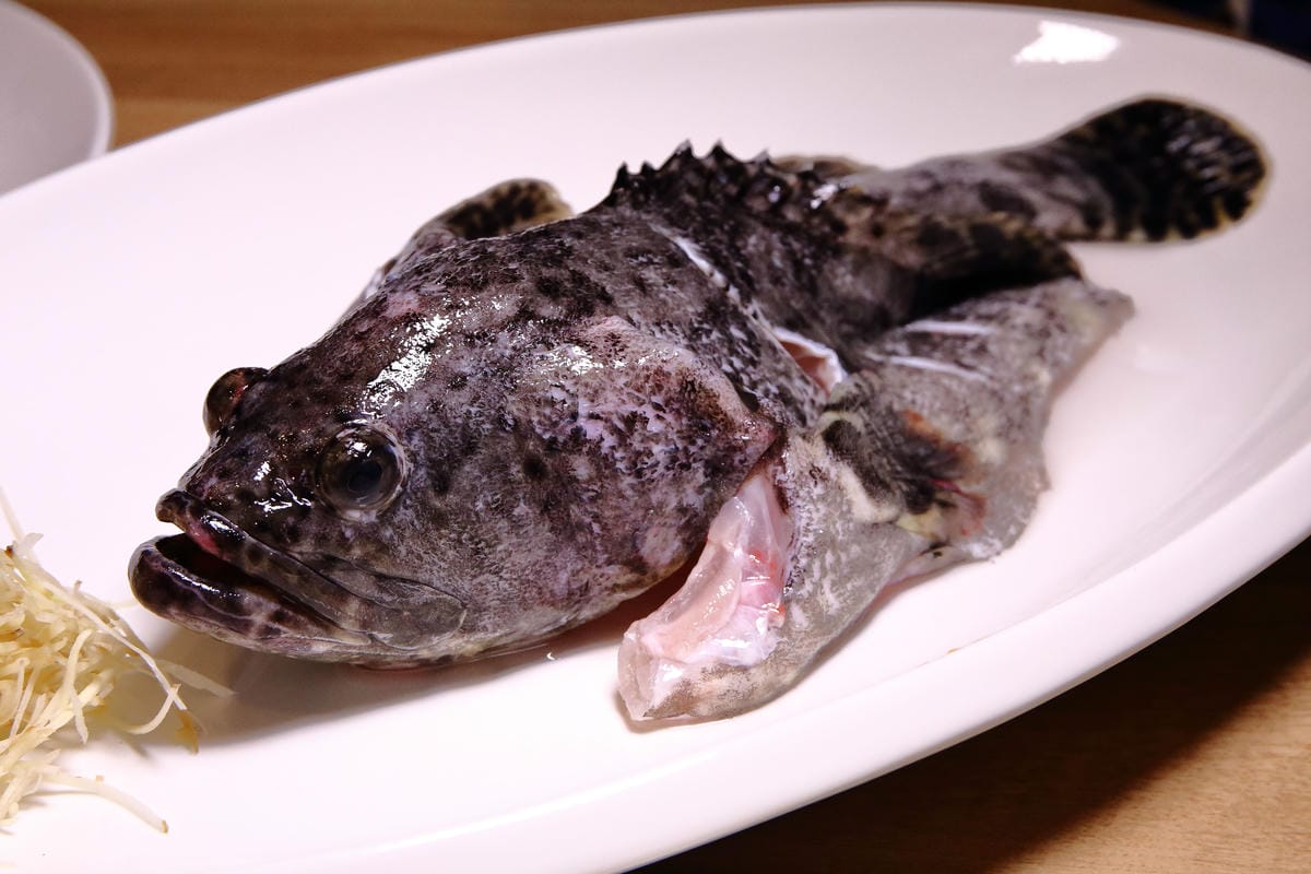 【食。台北】蒸龍宴-蒸汽養身海鮮館～松山蒸氣海鮮。海鮮還是蒸的好，原形、原汁、原味才美味！
