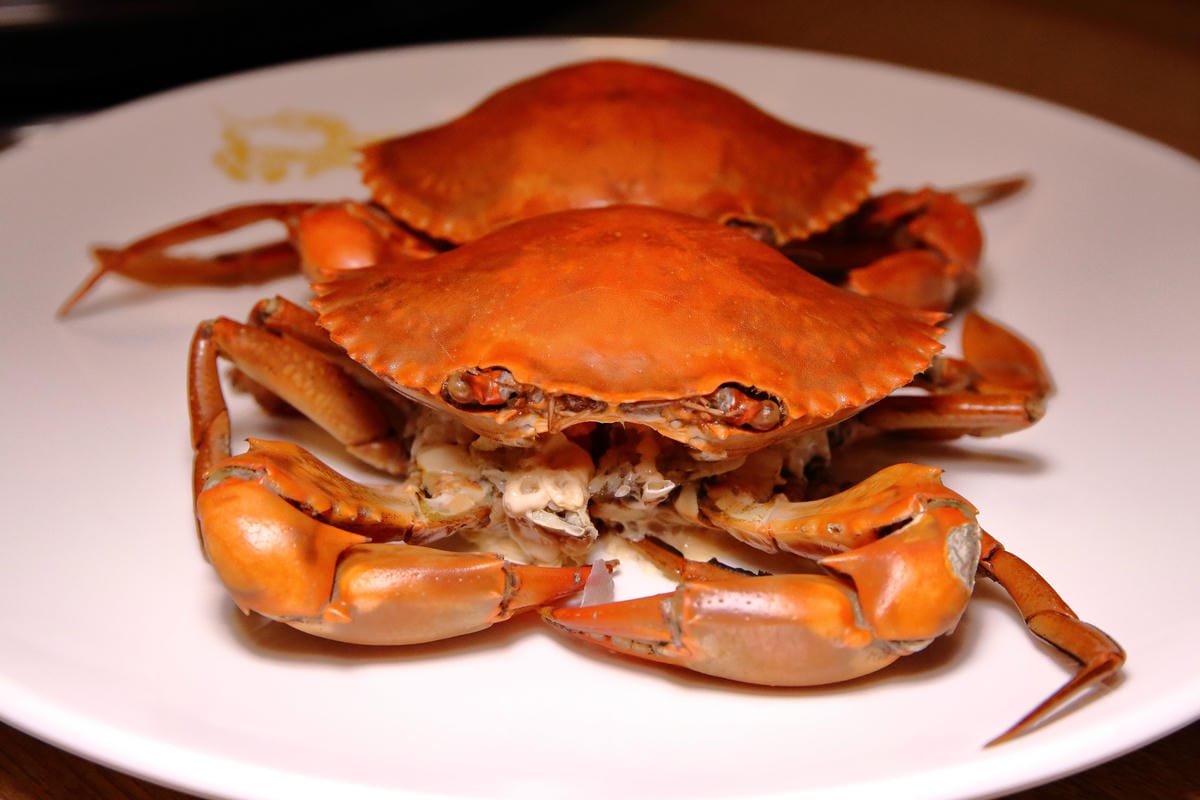 【食。台北】蒸龍宴-蒸汽養身海鮮館～松山蒸氣海鮮。海鮮還是蒸的好，原形、原汁、原味才美味！