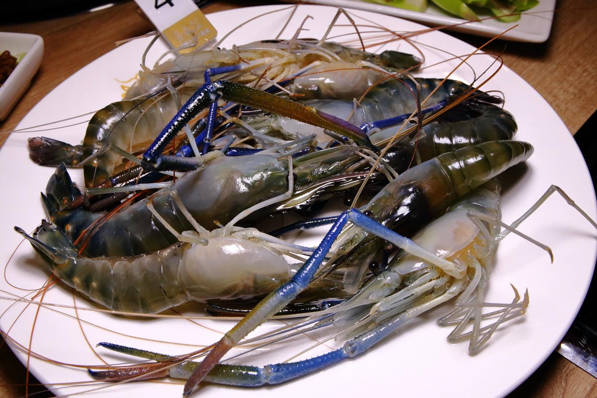 【食。台北】蒸龍宴-蒸汽養身海鮮館～松山蒸氣海鮮。海鮮還是蒸的好，原形、原汁、原味才美味！