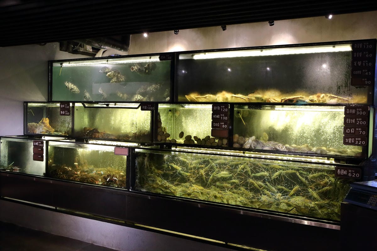 【食。台北】蒸龍宴-蒸汽養身海鮮館～松山蒸氣海鮮。海鮮還是蒸的好，原形、原汁、原味才美味！