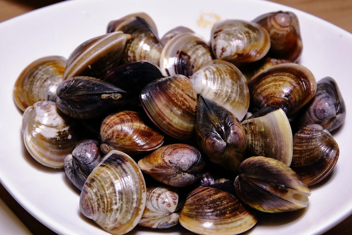 【食。台北】蒸龍宴-蒸汽養身海鮮館～松山蒸氣海鮮。海鮮還是蒸的好，原形、原汁、原味才美味！