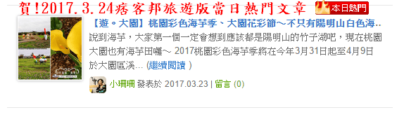 【遊。大園】桃園彩色海芋季、大園花彩節～不只有陽明山白色海芋，月底桃園『彩芋』即將開跑！走！到大園賞海芋去！