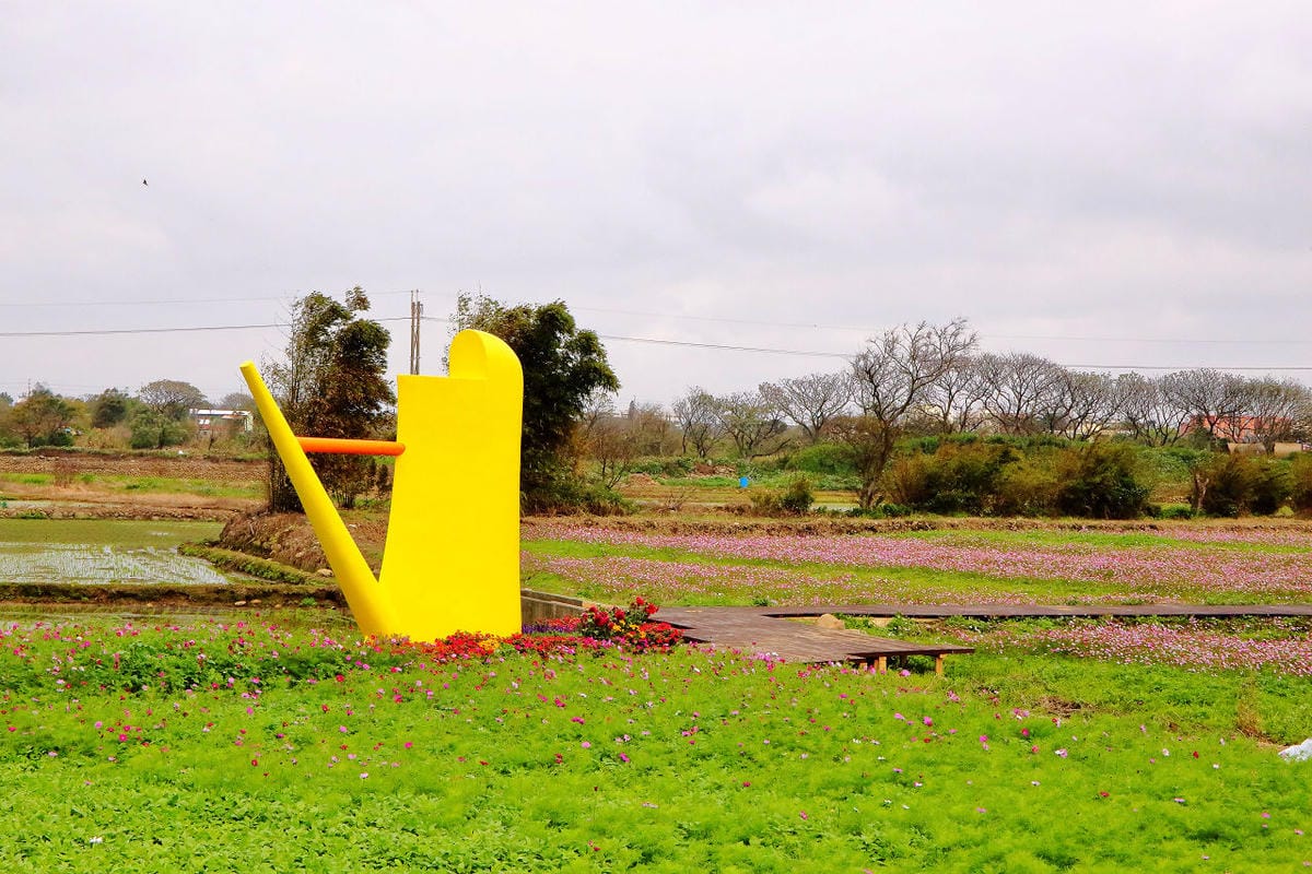 【遊。大園】桃園彩色海芋季、大園花彩節～不只有陽明山白色海芋，月底桃園『彩芋』即將開跑！走！到大園賞海芋去！