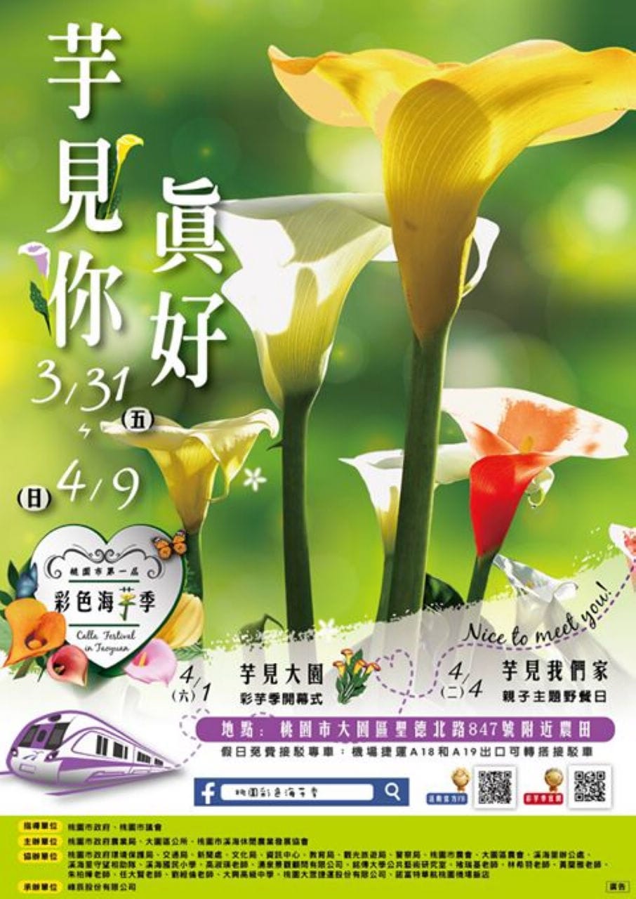【遊。大園】桃園彩色海芋季、大園花彩節～不只有陽明山白色海芋，月底桃園『彩芋』即將開跑！走！到大園賞海芋去！