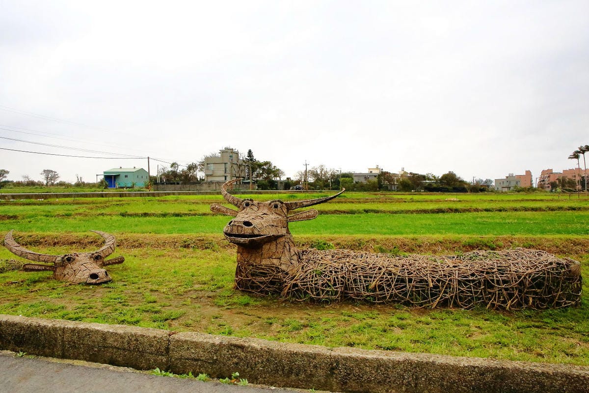 【遊。大園】桃園彩色海芋季、大園花彩節～不只有陽明山白色海芋，月底桃園『彩芋』即將開跑！走！到大園賞海芋去！