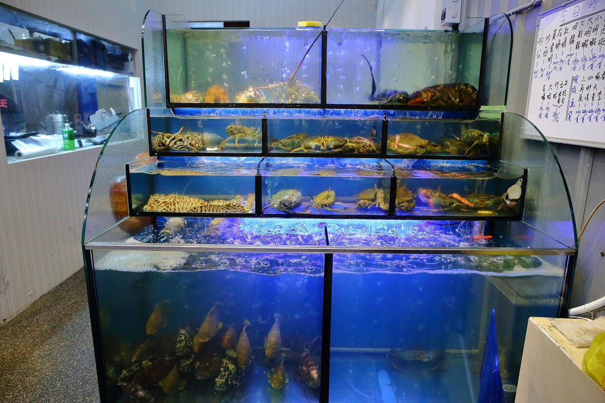 【食。林口】蒸霸王 蒸氣海鮮塔～現撈、呷原味，活海鮮蒸塔鮮甜上桌！