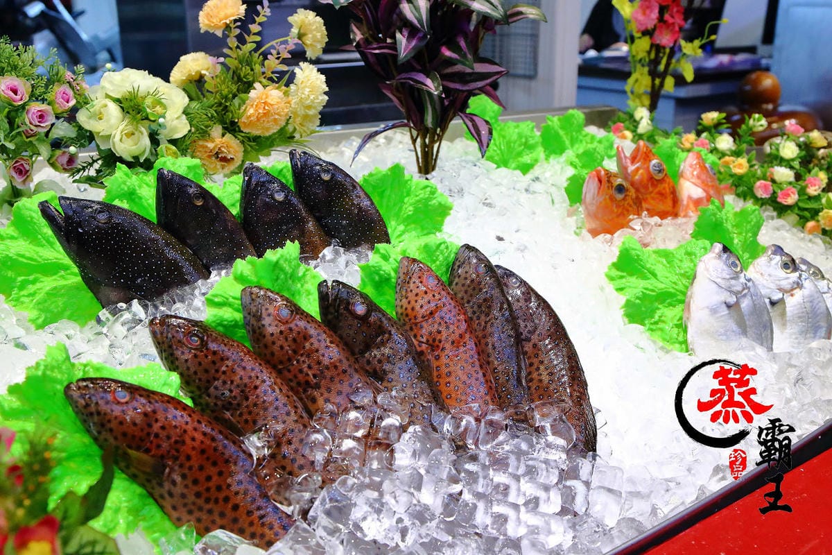 【食。林口】蒸霸王 蒸氣海鮮塔～現撈、呷原味，活海鮮蒸塔鮮甜上桌！