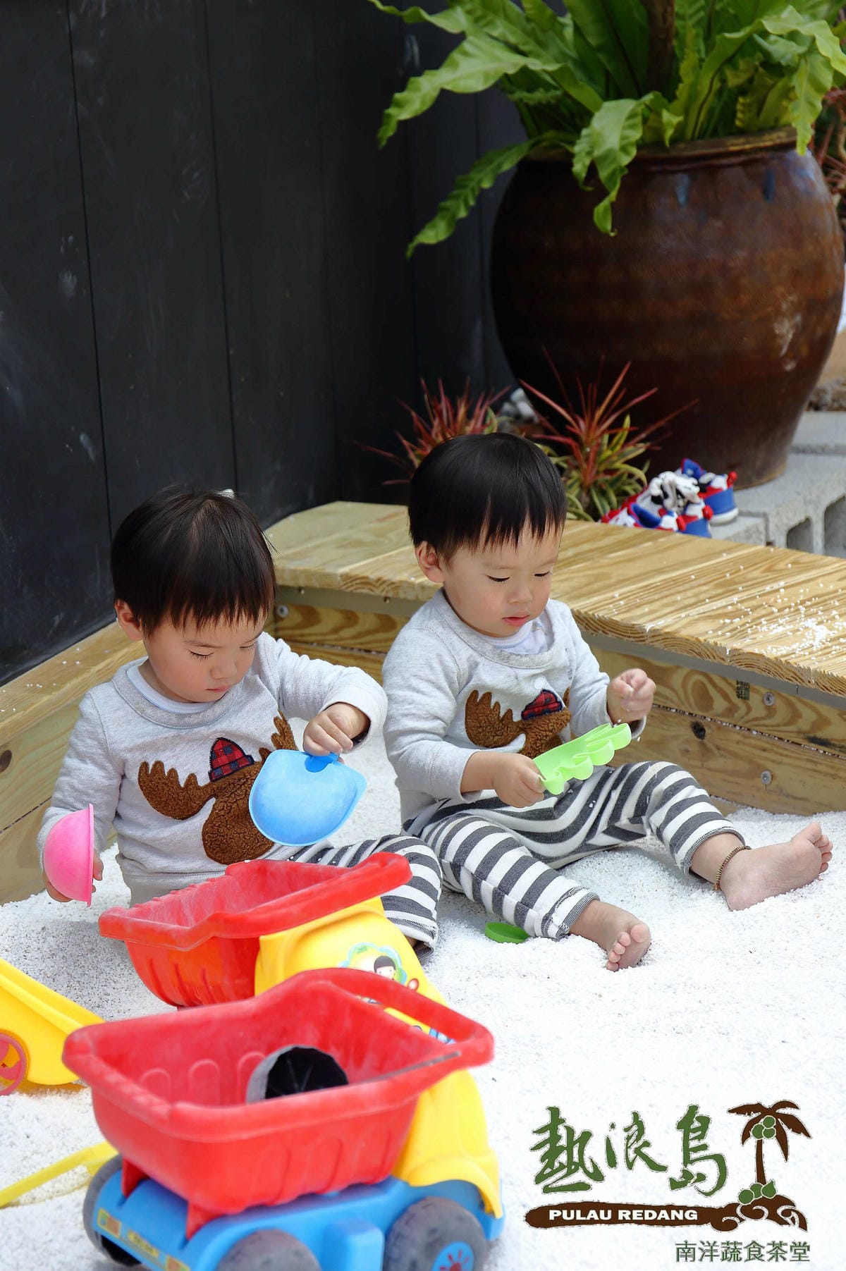 【食。中壢】熱浪島南洋蔬食茶堂～峇里島親子主題餐廳。吃素也可以大滿足！創新吃法南洋風味料理，素食新選擇！