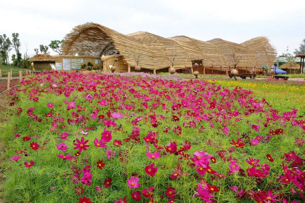 【遊。桃園】「2017桃園農業博覽會」在新屋～八大展區，跨界地景藝術創作！展覽也能這麼好玩，全攻略來啦！
