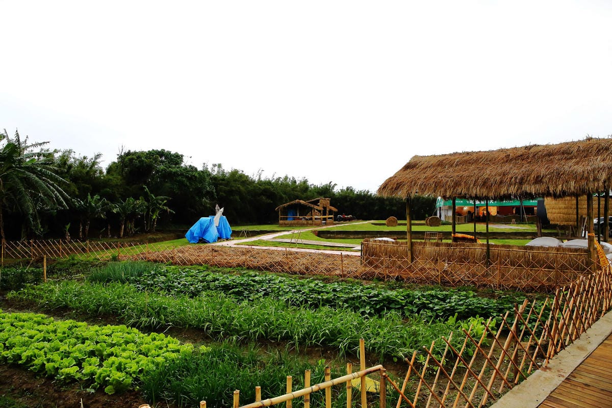 【遊。桃園】「2017桃園農業博覽會」在新屋～八大展區，跨界地景藝術創作！展覽也能這麼好玩，全攻略來啦！