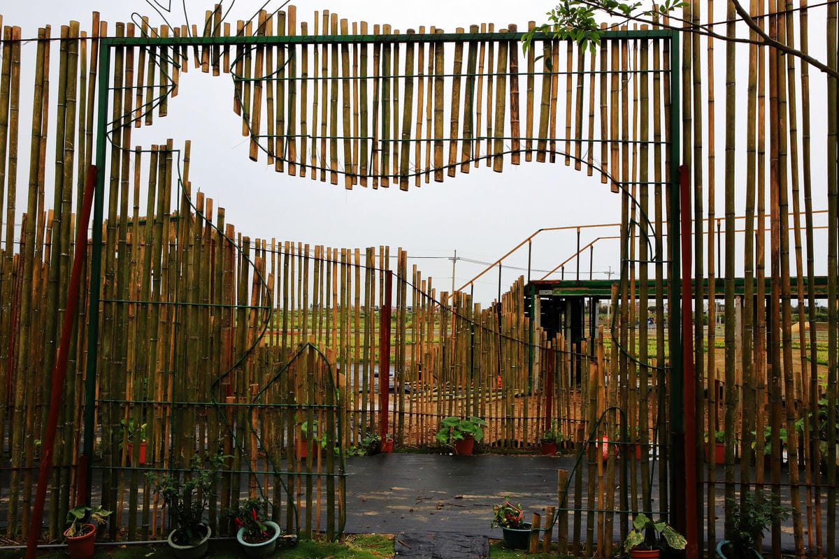 【遊。桃園】「2017桃園農業博覽會」在新屋～八大展區，跨界地景藝術創作！展覽也能這麼好玩，全攻略來啦！