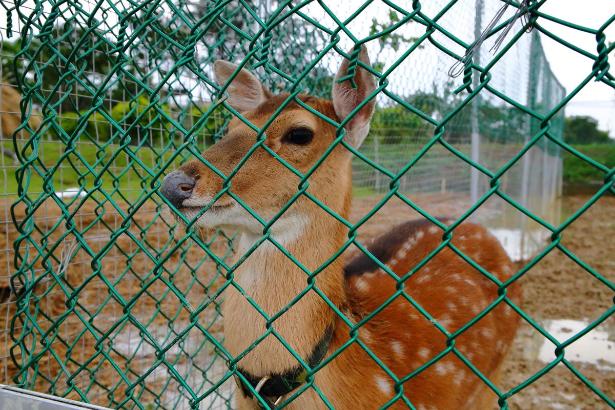 【遊。桃園】「2017桃園農業博覽會」在新屋～八大展區，跨界地景藝術創作！展覽也能這麼好玩，全攻略來啦！