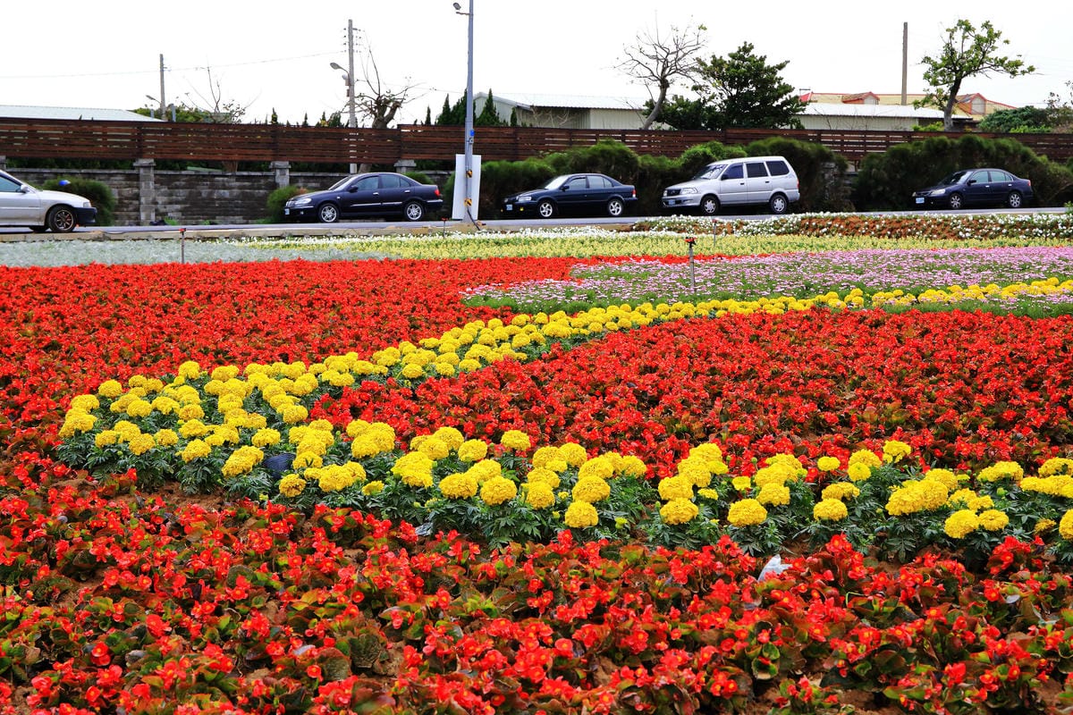 【遊。桃園】「2017桃園農業博覽會」在新屋～八大展區，跨界地景藝術創作！展覽也能這麼好玩，全攻略來啦！