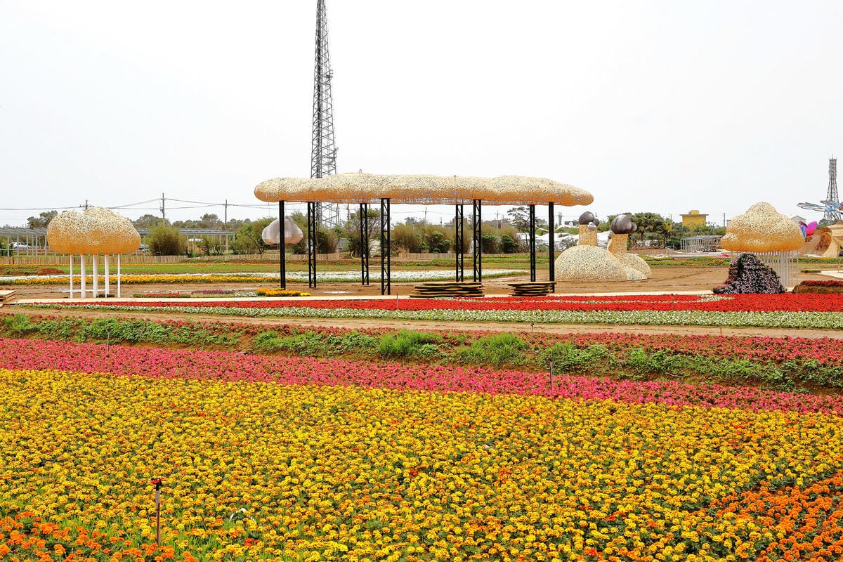 【遊。桃園】「2017桃園農業博覽會」在新屋～八大展區，跨界地景藝術創作！展覽也能這麼好玩，全攻略來啦！