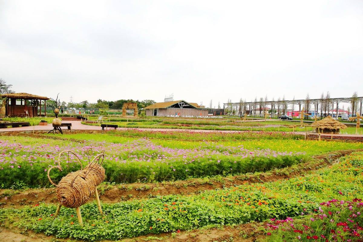 【遊。桃園】「2017桃園農業博覽會」在新屋～八大展區，跨界地景藝術創作！展覽也能這麼好玩，全攻略來啦！