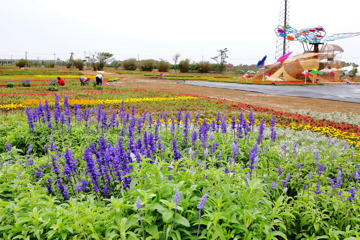 【遊。桃園】「2017桃園農業博覽會」在新屋～八大展區，跨界地景藝術創作！展覽也能這麼好玩，全攻略來啦！