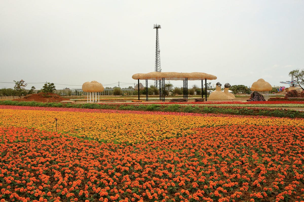 【遊。桃園】「2017桃園農業博覽會」在新屋～八大展區，跨界地景藝術創作！展覽也能這麼好玩，全攻略來啦！