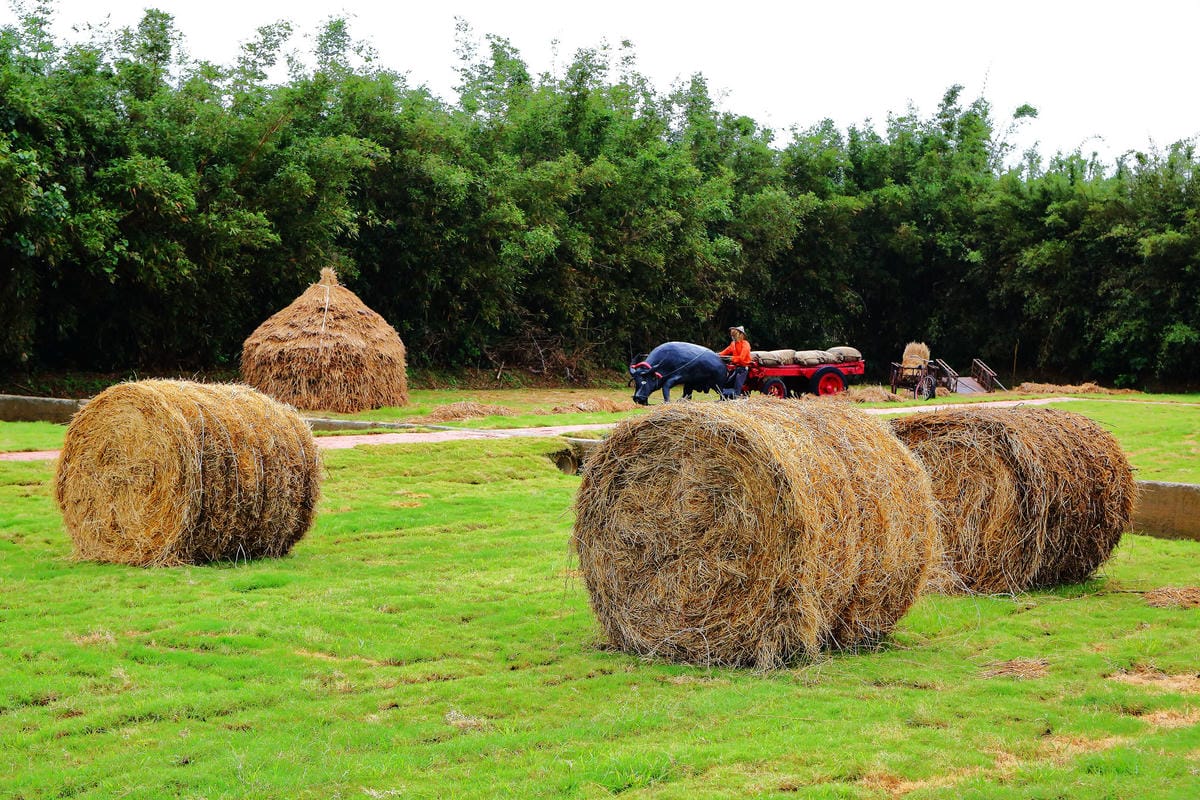 【遊。桃園】「2017桃園農業博覽會」在新屋～八大展區，跨界地景藝術創作！展覽也能這麼好玩，全攻略來啦！