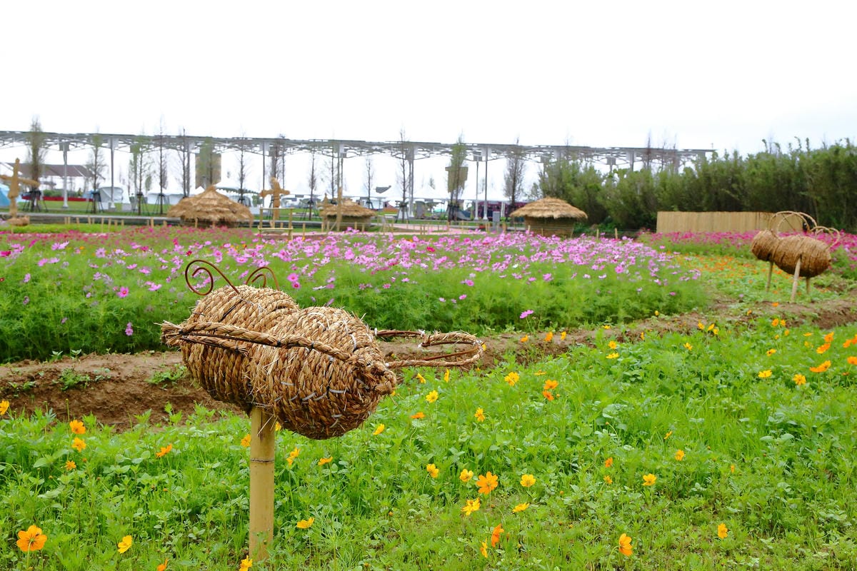 【遊。桃園】「2017桃園農業博覽會」在新屋～八大展區，跨界地景藝術創作！展覽也能這麼好玩，全攻略來啦！