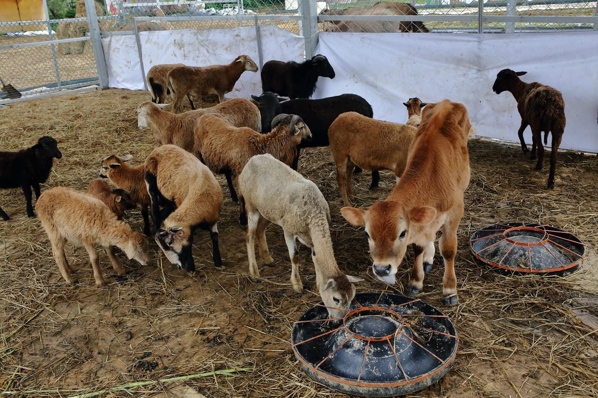【遊。桃園】「2017桃園農業博覽會」在新屋～八大展區，跨界地景藝術創作！展覽也能這麼好玩，全攻略來啦！