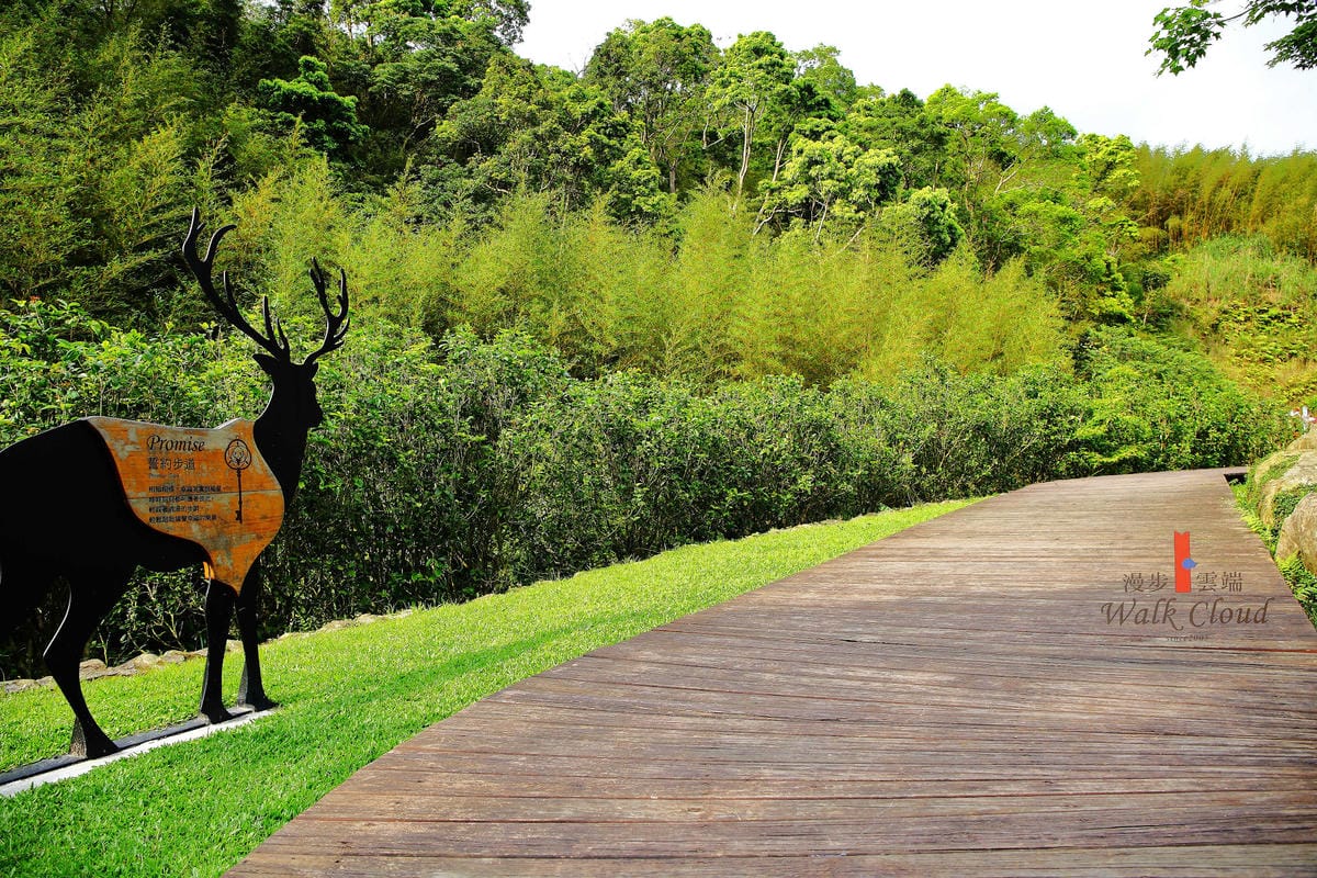 【食+遊。苗栗】漫步雲端森林廚房～三義景觀餐廳。森林X城堡浪漫秘境！『季節限定』與螢火蟲滿天共舞！（寵物友善餐廳）　