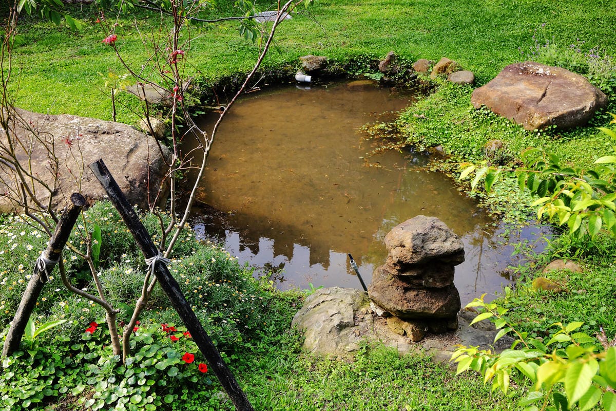 【食+遊。苗栗】漫步雲端森林廚房～三義景觀餐廳。森林X城堡浪漫秘境！『季節限定』與螢火蟲滿天共舞！（寵物友善餐廳）　