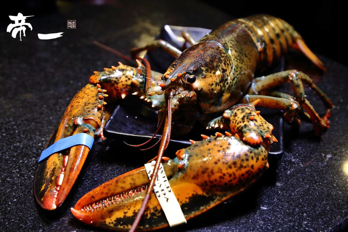 【食。內湖】帝一 帝王蟹海鮮/黑毛牛/伊比利豬 頂級燒烤吃到飽～烤肉也能很享受！頂級食材”小鮮肉”幫你烤！