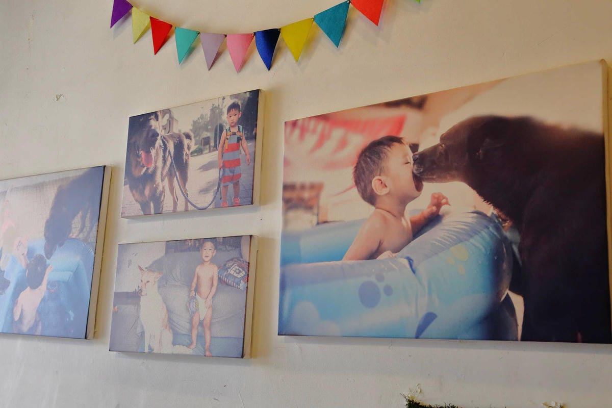 【食。永和】OZ HOTEL 澳滋客棧～美好親子寵物友善用餐環境。出發！帶毛小孩一起吃飯！(已歇業)