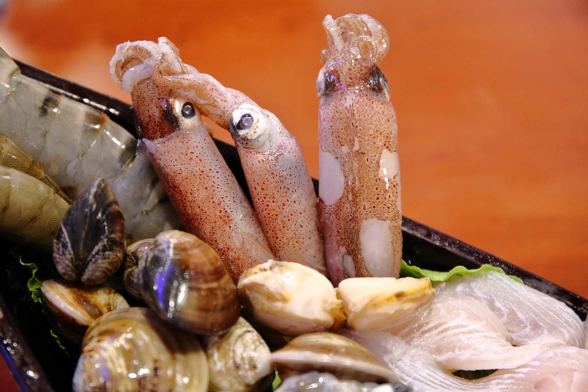 【食。蘆洲】田原鍋日式涮涮鍋～平價精緻火鍋首選！高檔肉品加新鮮海鮮超澎湃！