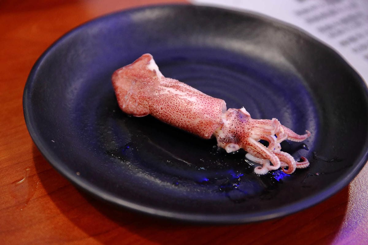 【食。蘆洲】田原鍋日式涮涮鍋～平價精緻火鍋首選！高檔肉品加新鮮海鮮超澎湃！