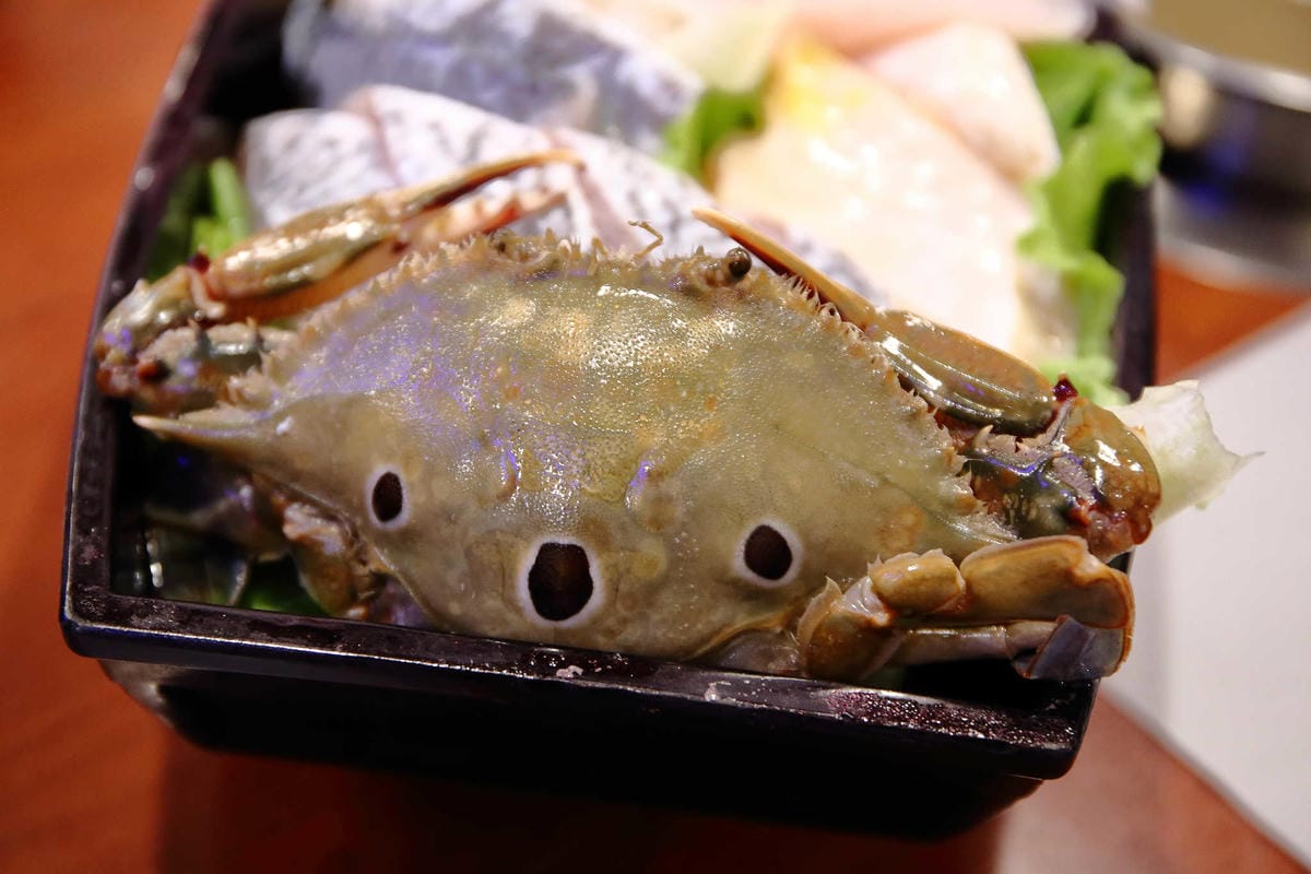 【食。蘆洲】田原鍋日式涮涮鍋～平價精緻火鍋首選！高檔肉品加新鮮海鮮超澎湃！