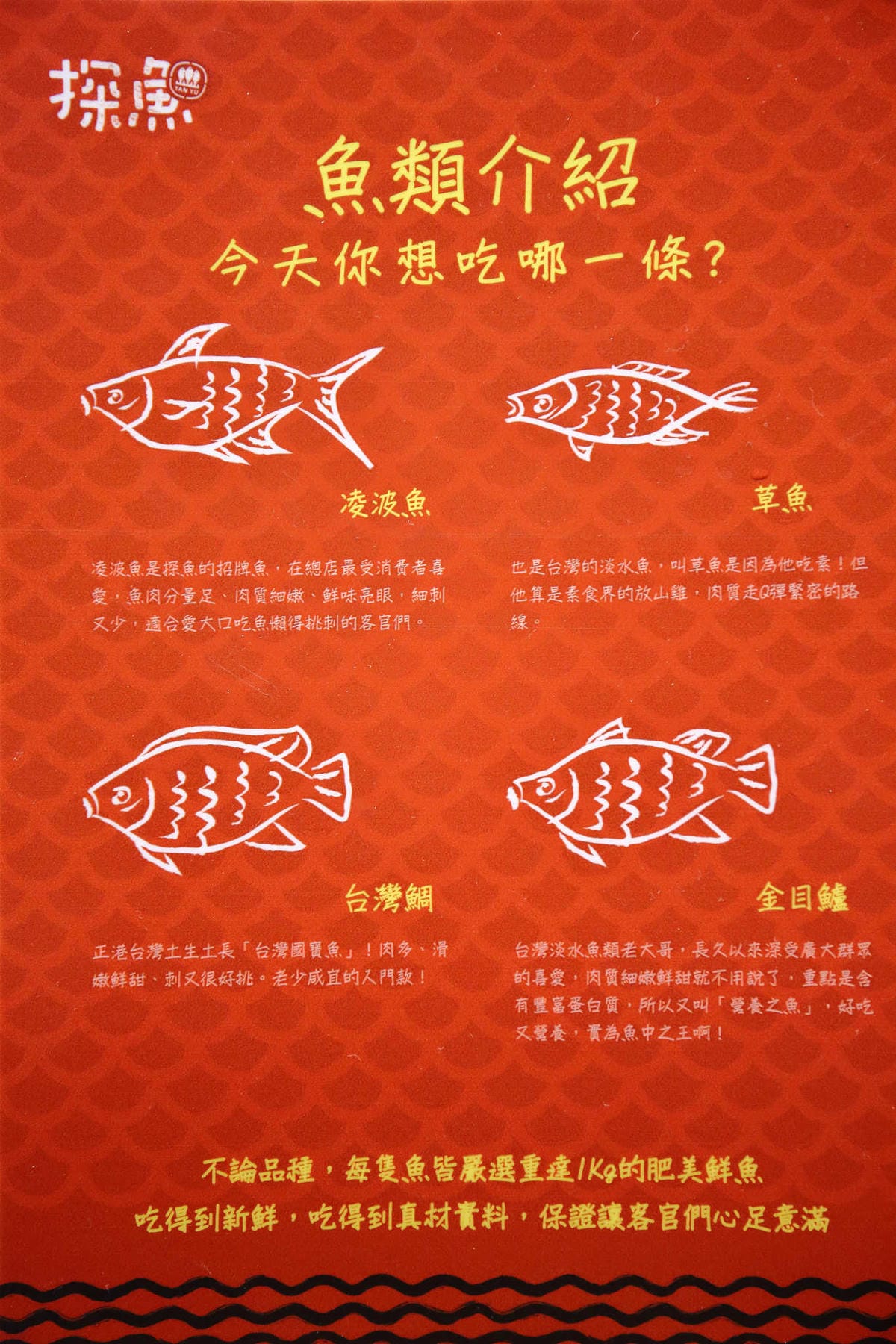 【食。台中】探魚〜2017年必吃！中國最火紅烤魚品牌隆重登場！美味深藏在辣味下…(已歇業)