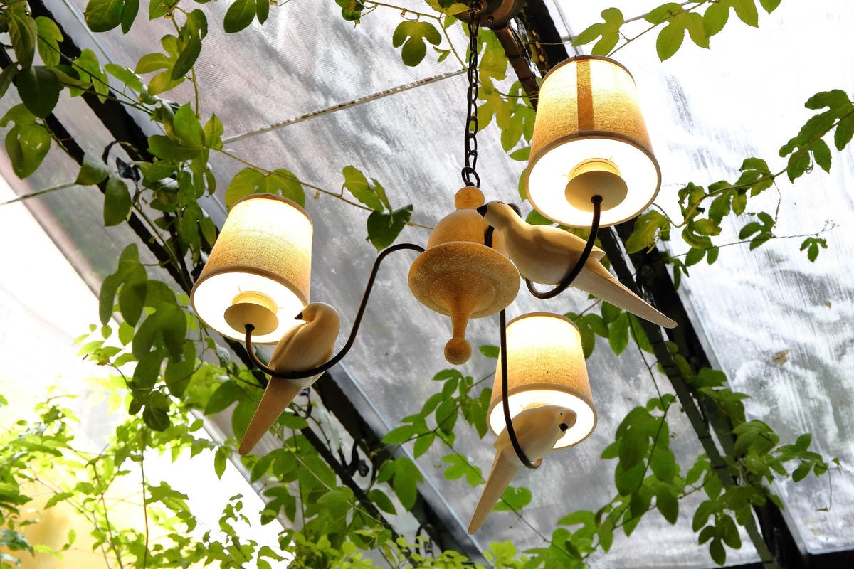 【食。台北】D.G Café〜大同區/早午餐下午茶。歐式鄉村風,彷彿走進走進夢幻空間,IG打卡拍照火爆熱點!