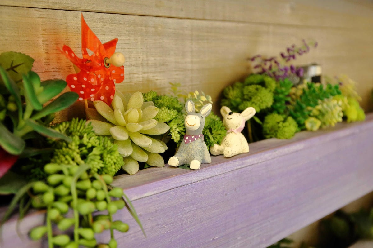 【食。台北】D.G Café〜大同區/早午餐下午茶。歐式鄉村風,彷彿走進走進夢幻空間,IG打卡拍照火爆熱點!