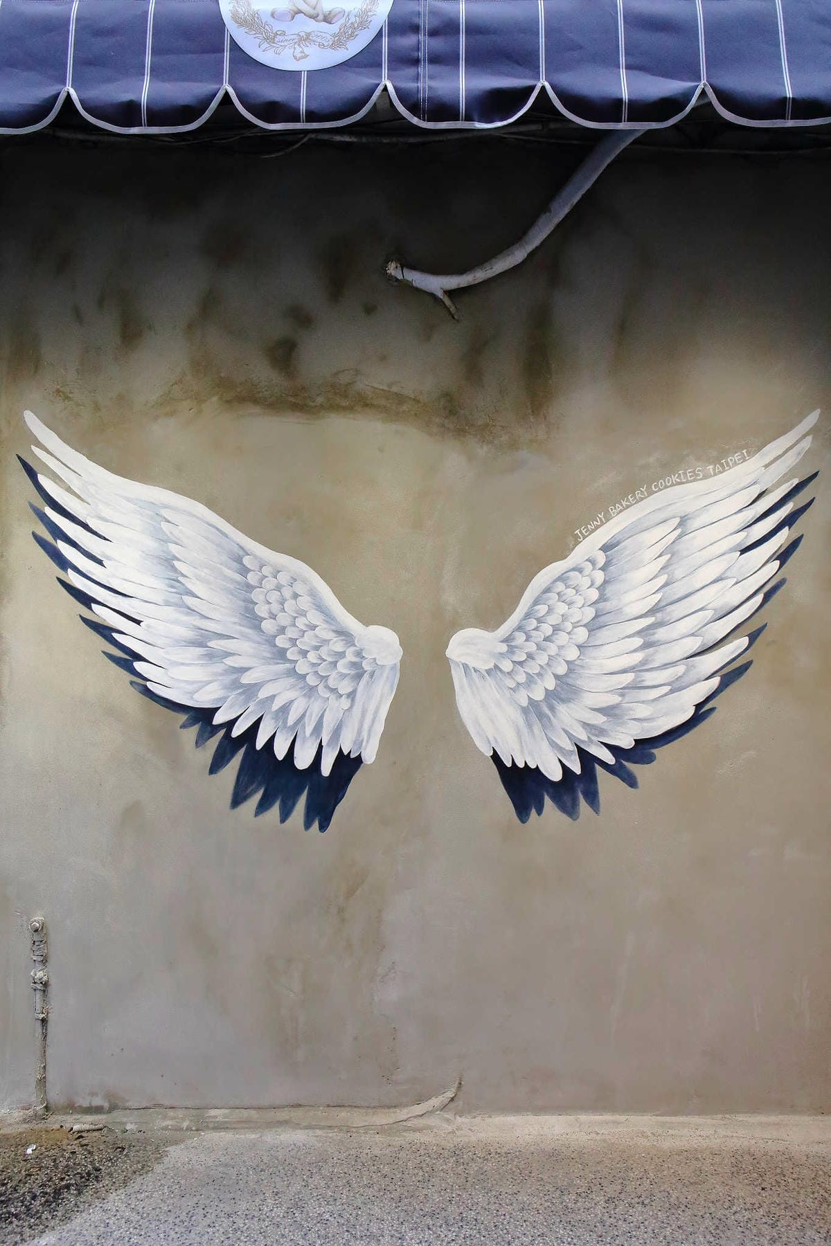 【食。台北】Jenny Bakery珍妮曲奇聰明小熊餅乾台灣店〜想吃香港最夯伴手禮曲奇餅，不用花大錢、飛出國！