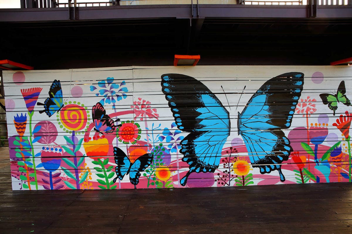 【遊。板橋】板橋新亮點！萬板橋下3D彩繪牆VS蝴蝶公園地景花海，地景藝術打卡必遊！