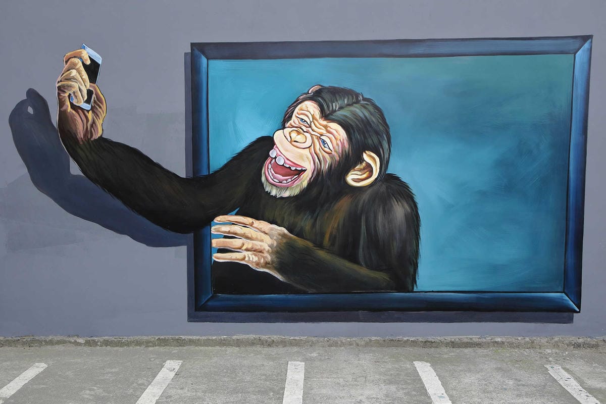 【遊。板橋】板橋新亮點！萬板橋下3D彩繪牆VS蝴蝶公園地景花海，地景藝術打卡必遊！