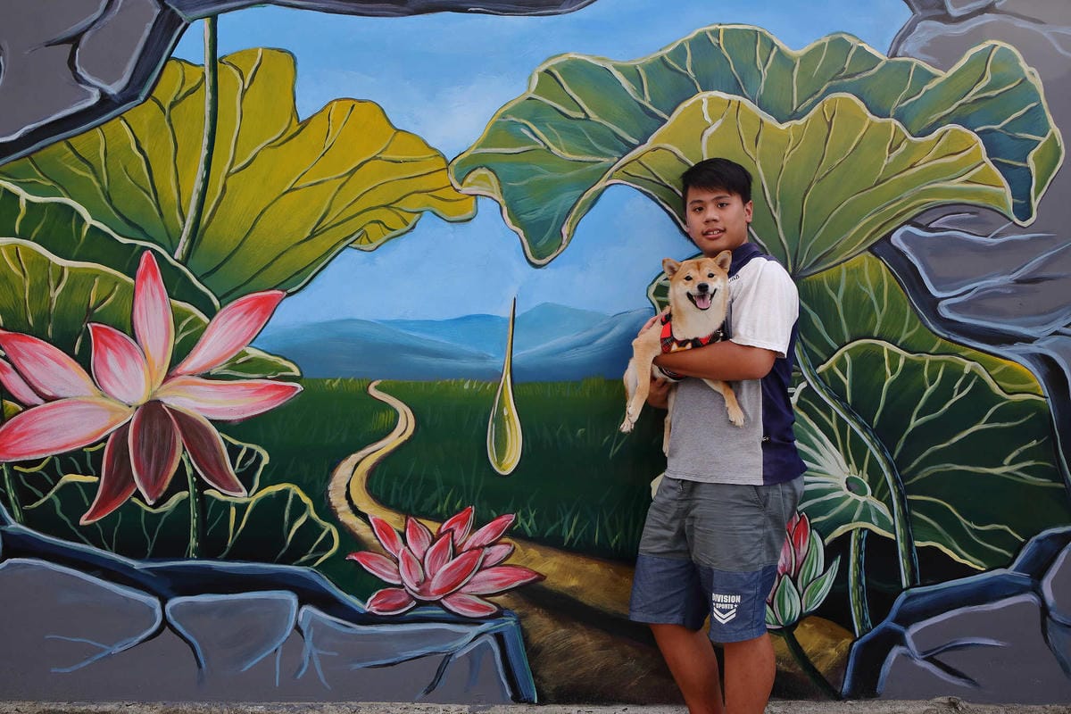 【遊。板橋】板橋新亮點！萬板橋下3D彩繪牆VS蝴蝶公園地景花海，地景藝術打卡必遊！