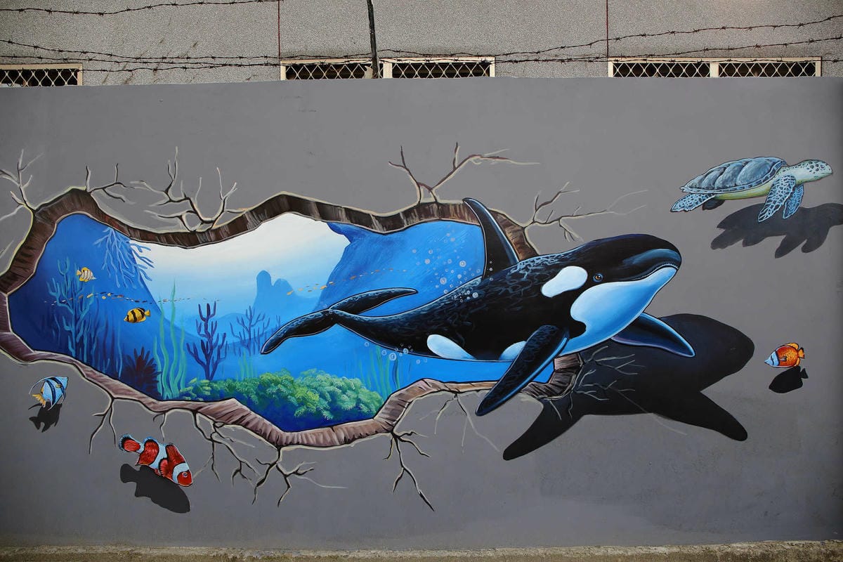 【遊。板橋】板橋新亮點！萬板橋下3D彩繪牆VS蝴蝶公園地景花海，地景藝術打卡必遊！