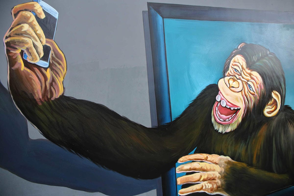 【遊。板橋】板橋新亮點！萬板橋下3D彩繪牆VS蝴蝶公園地景花海，地景藝術打卡必遊！